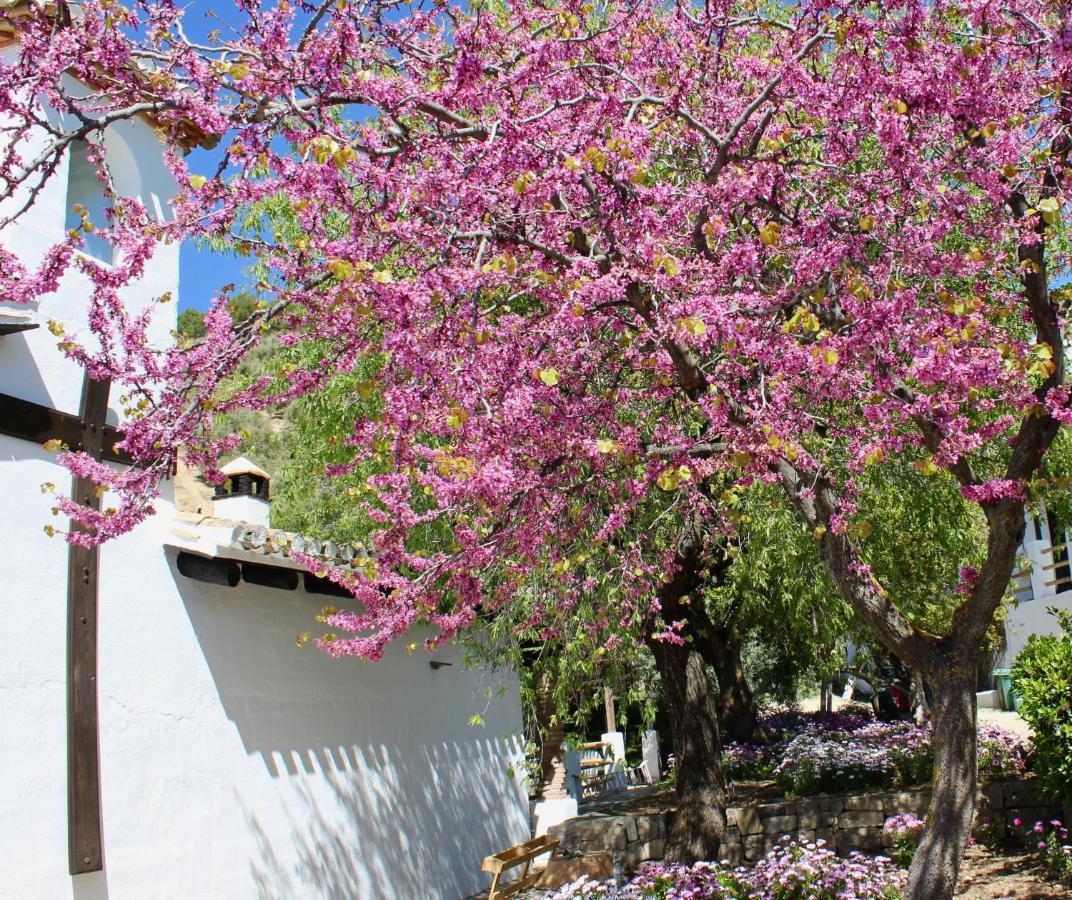 몬테프리오 Cortijo La Fe 게스트하우스 외부 사진